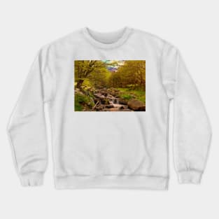 A stream in the forest Crewneck Sweatshirt